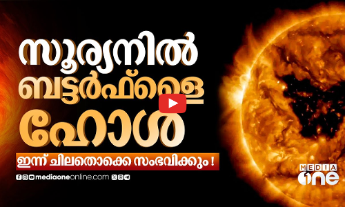 ഭൂമിയുടെ ഇരട്ടിയുടെ ഇരട്ടി വലിപ്പം, സൂര്യനിലെ ബട്ടർഫ്‌ളൈ ഹോൾ പണിയാകുമോ? | Butterfly Hole