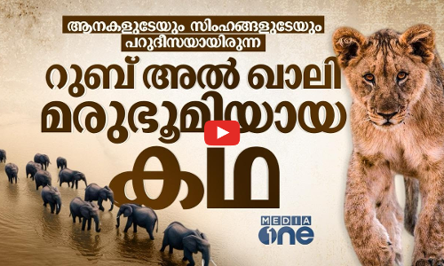 സൗദി കാടും നദികളും നിറഞ്ഞ റുബ് അൽ ഖാലി തിരിച്ചു പിടിക്കുന്നു | Empty Quarter History | Saudi Story