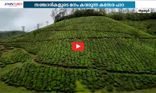 നട്ടുച്ചക്കും കോടമഞ്ഞ്; സഞ്ചാരികളുടെ മനംകവര്‍ന്ന് കസേരപ്പാറ