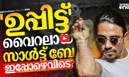 വളർത്തിയതും തളർത്തിയതും സോഷ്യൽ മീഡിയ; എവിടെയാണ് സാൾട്ട് ബേയ്‌ക്ക് പാളിയത്? | Salt Bae