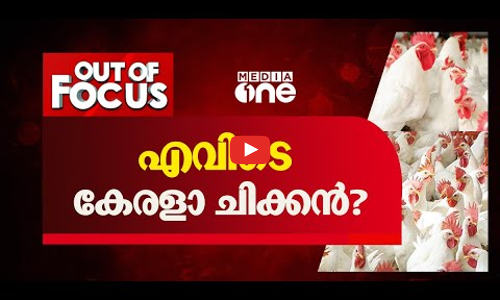 എവിടെ കേരളാ ചിക്കൻ?