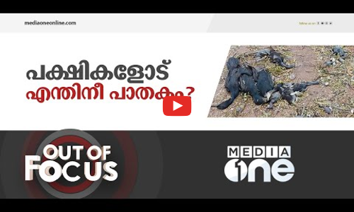 ദേശീയപാത വികസനത്തിൽ കൊല്ലപ്പെട്ട പക്ഷികൾ | Out of Focus