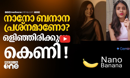 സാരി ട്രെൻഡിന് പിന്നിൽ ഒളിഞ്ഞിരിക്കുന്ന സുരക്ഷാ പ്രശ്‌നങ്ങൾ,നാനോ ബനാനയെ വിശ്വസിക്കാമോ? | Nano Banana