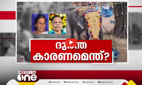 ദുരന്ത കാരണമെന്ത്?... | First Roundup | 1 PM News |14 02 2025 |