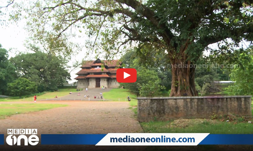 യഥാര്‍ത്ഥത്തില്‍ തേക്കിന്‍കാട് മൈതാനത്തില്‍ തേക്കുകളുണ്ടോ ?