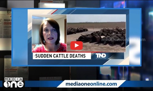 ഉറപ്പായും പ്രവചിക്കപ്പെട്ട കാലവർഷം എവിടെയാണ് പോയത്..? | Media Scan |