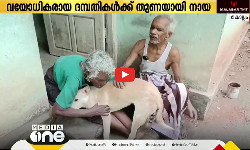 വയോധികരായ കാഴ്ച ശക്തിയില്ലാത്ത ഭർത്താവിനും കേൾവി ശക്തിയില്ലാത്ത ഭാര്യക്കും തുണയായി വീരൻ