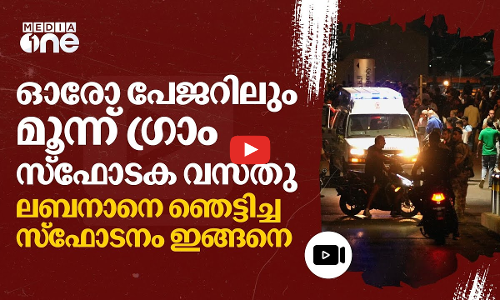 പേജറിൽ സ്‌ഫോടകവസ്തു ഒളിപ്പിച്ചത് മൊസാദ്; ആസൂത്രണം മാസങ്ങൾക്ക് മുമ്പ് | Lebanon Pager Blasts | #nmp