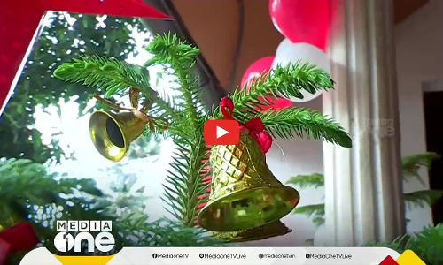 മന്ത്രിമന്ദിരങ്ങള്‍ അലങ്കരിക്കുന്നത് ഇങ്ങനെ; ആലുവ ഗവ.സീഡ്‍ഫാമില്‍ നിന്നുള്ള  ലൈവ് ക്രിസ്മസ് ട്രീ തരംഗമാകുന്നു