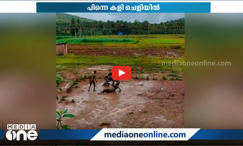 മഴ, ചെളി, കളി...കുത്തിമറിയുമ്പോൾ വടിയുമായി അമ്മ, പിന്നെ ഓടെടാ ഓട്ടം...