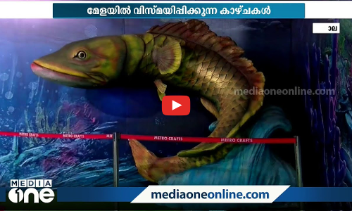 കണ്ണും കരളും നിറയ്ക്കുന്ന കാഴ്ചകളുമായി മിറാകോളോ എക്സിബിഷൻ