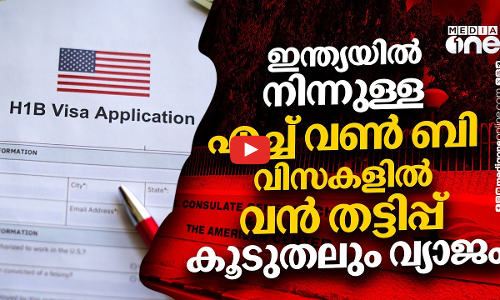 ഇന്ത്യയിലെ എച്ച് വണ്‍ ബി വിസയിലെ തട്ടിപ്പുകള്‍ തുറന്നുകാട്ടി മുന്‍ കോണ്‍സുലേറ്റ് ഉദ്യോഗസ്ഥ