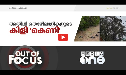 അതിഥി തൊഴിലാളികളുടെ കിളി കെണി