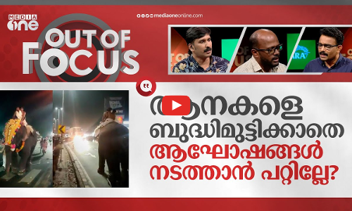 ഇടയുന്ന ആനകളും ആനപ്രേമവും