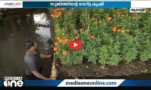 ഇത് വേമ്പനാട്ടു കായലിലെ വെള്ളത്തിലൊഴുകും പൂന്തോട്ടം