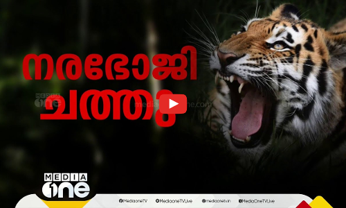 നരഭോജി ചത്തു ! | First Roundup | 1 PM News | 27 Jan 2025 | Wayanad Tiger Attack