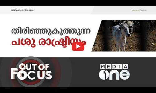 പശു രാഷ്ട്രീയം തിരഞ്ഞുകുത്തുമ്പോൾ