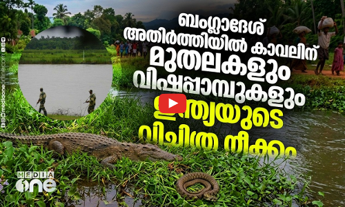 കുടിയേറ്റക്കാരെ തടയാന്‍ മുതലകളെ ഇറക്കി ഇന്ത്യ; ബംഗ്ലാദേശ് അതിര്‍ത്തിയില്‍ സംഭവിക്കുന്നത്