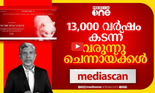 13,000 വർഷം കടന്നു വരുന്നു ചെന്നായ്ക്കൾ... | Media Scan