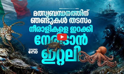 ഞണ്ടുകള്‍ കാരണം മത്സ്യബന്ധനം മുടങ്ങി, നീരാളിയെ ഇറക്കി ഇറ്റലിയുടെ പ്രതിരോധം