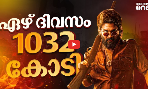 വിവാദങ്ങൾ ഏശാതെ പുഷ്പ 2; റെക്കോർഡുകൾ തകർത്ത് കുതിപ്പ് | Pushpa 2 | #nmp