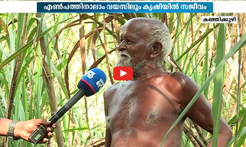 ചൊരിമണലില്‍ കരിമ്പ് വിളയിച്ച് 84കാരനായ നകുലന്‍ ചേട്ടന്‍