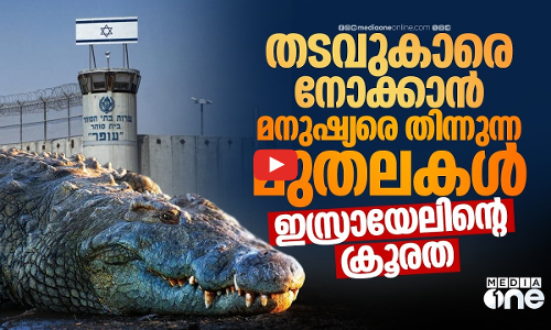 ഹമാസ് തടവുകാരെ നിരീക്ഷിക്കാന്‍ മുതലകള്‍; ഇസ്രായേലിന്റെ പുതിയ പദ്ധതി