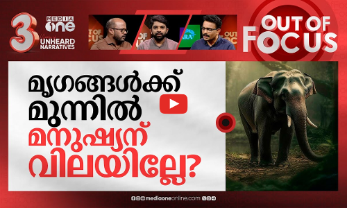 നാട് ഭരിക്കുന്ന മൃഗങ്ങൾ | Wayanad elephant attack | Out Of Focus