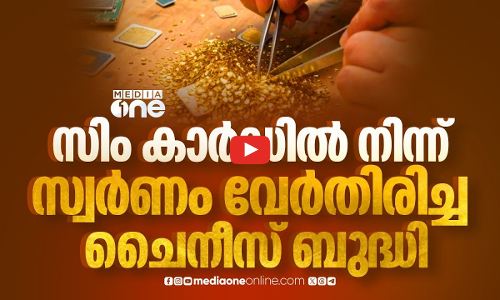 സ്വര്‍ണം വിളയിച്ച സിംകാര്‍ഡുകള്‍ | China Man Turns Old SIM Cards Into Gold