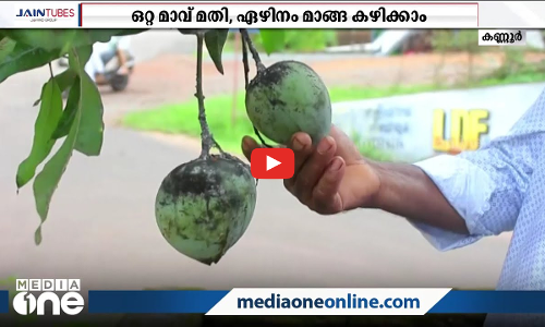 വേണമെങ്കില്‍ ഒരു മാവില്‍ ഏഴിനം മാങ്ങയും കായ്ക്കും..