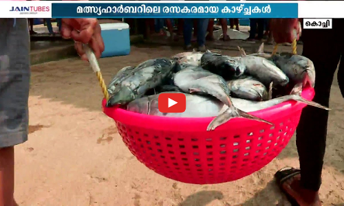 ലേലമുറപ്പിക്കാൻ പോകുന്നു; ആരെങ്കിലുമുണ്ടോ ? വീറും വാശിയും നിറഞ്ഞ കൊച്ചി ഹാർബറിലെ മത്സ്യലേല കാഴ്ചകൾ