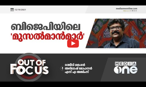 ബിജെപിയിലെ മുസൽമാൻമാർ