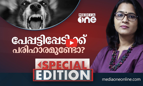 പേപ്പട്ടിപ്പേടിക്ക് പരിഹാരമുണ്ടോ?