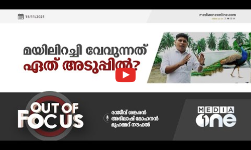 മയിലിറച്ചി വേവുന്നത് ഏത് അടുപ്പിൽ?