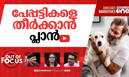 തെരുവ് നായ്ക്കളെ കൂട്ടിലടക്കേണ്ടേ? | Rahul Gandhi junks SC’s stray dogs order | Out Of Focus