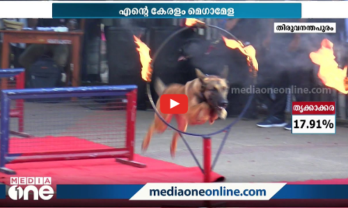 കനകക്കുന്നില്‍ കാണികളുടെ കയ്യടി നേടി മായയും ജാക്കും